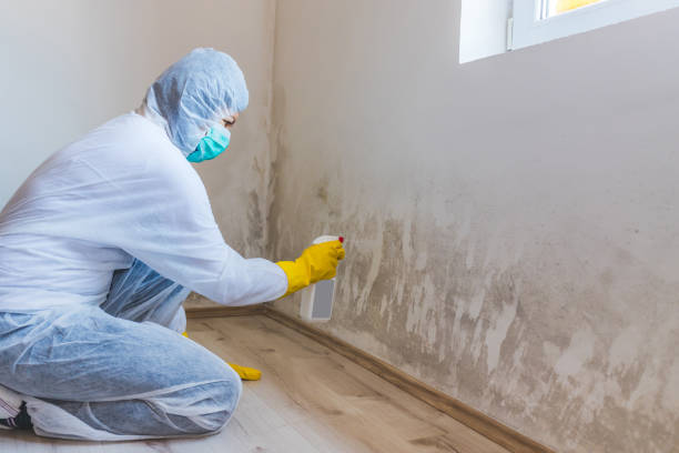 Hvac And Air Duct Mold Remediation inspection of HVAC system in Morganville