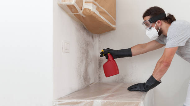 Attic Mold Remediation treatment on roof deck in Morganville
